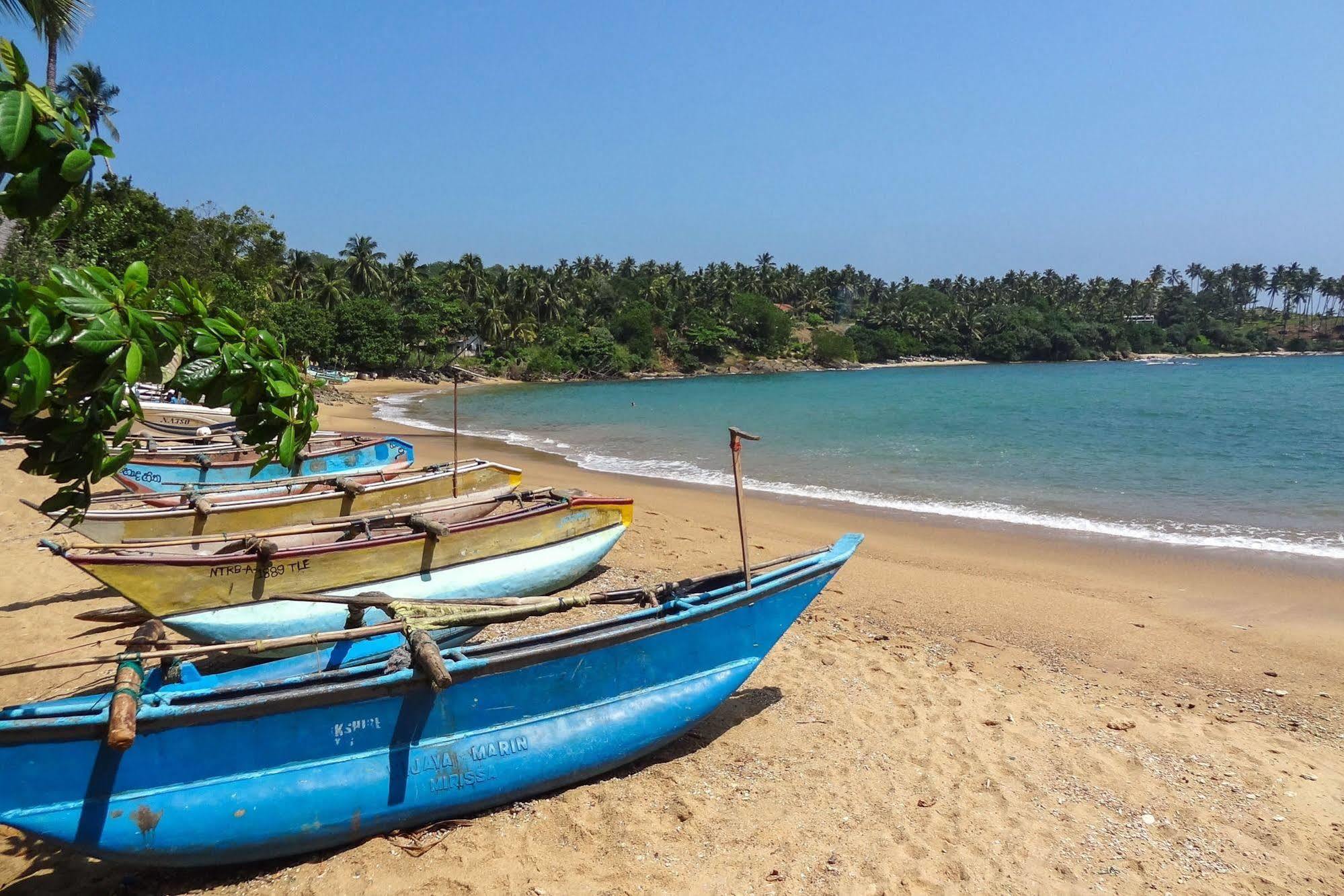 فندق Aga Surf View تانجالي المظهر الخارجي الصورة