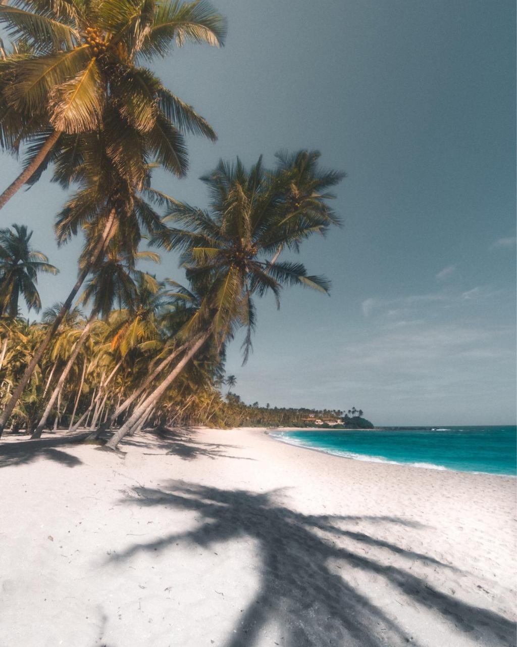 فندق Aga Surf View تانجالي المظهر الخارجي الصورة